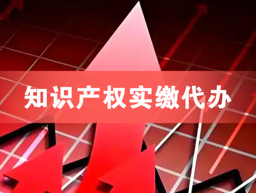 宣汉知识产权实缴资本代办